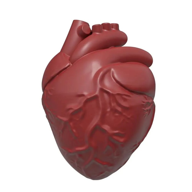 Silicone Human Brain Cake Mold 4