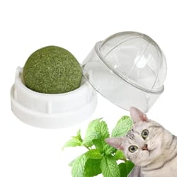 rotatable catnip wall ball toy teeth cleaning licking snack