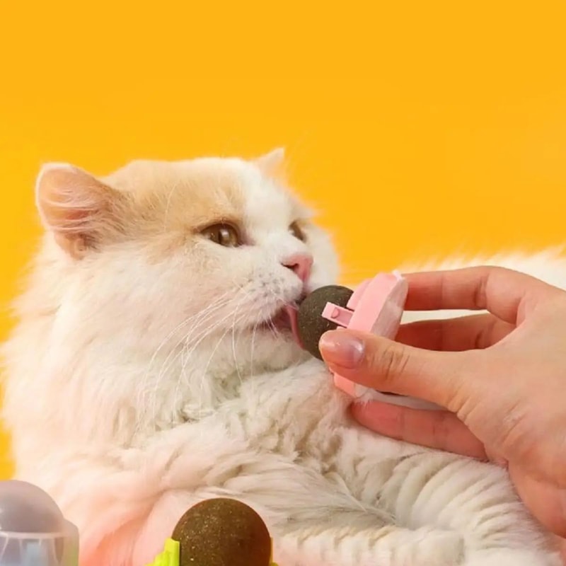 Rotatable Catnip Wall Ball Toy Teeth Cleaning Licking Snack 4