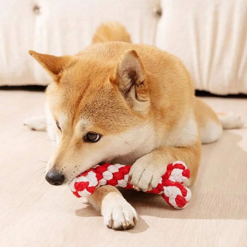 Random Color Rope Bone Chew Toy For Small And Medium Dog Durable Braided Dental Toy 3