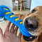 TPR Dog Bone Chew Toy Squeaky Dental Training Toy 2