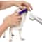 Dog Dental Care Kit Toothpaste Toothbrush And Finger Brush Set 3