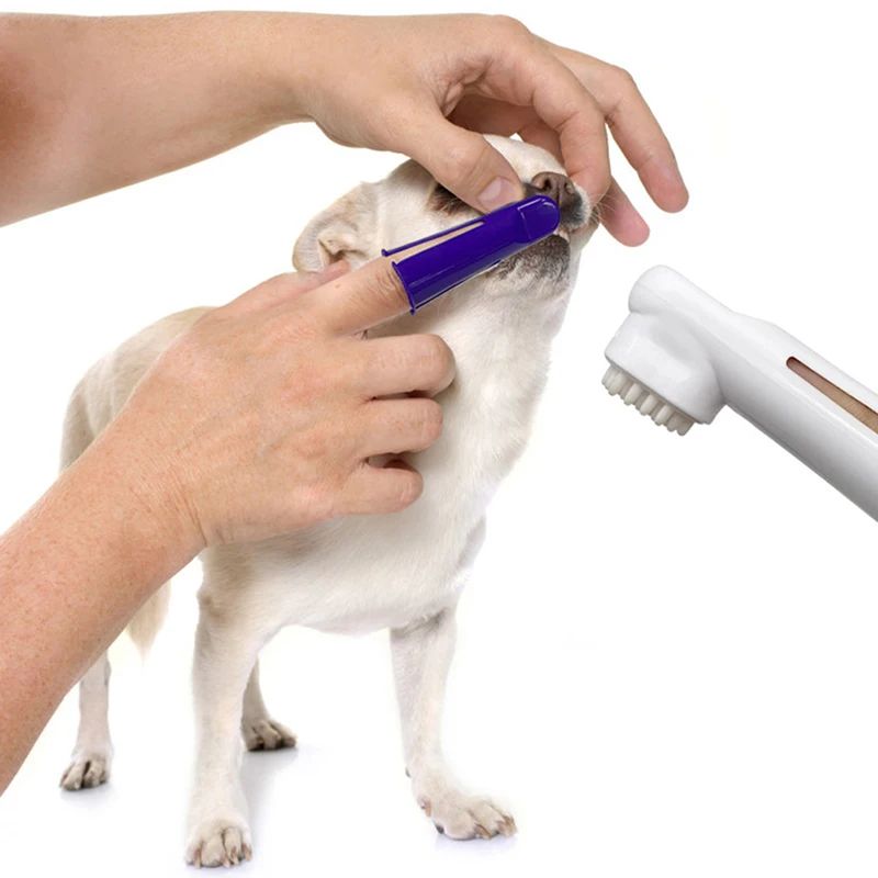 Dog Dental Care Kit Toothpaste Toothbrush And Finger Brush Set 3