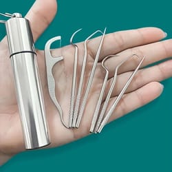 stainless steel reusable toothpick set