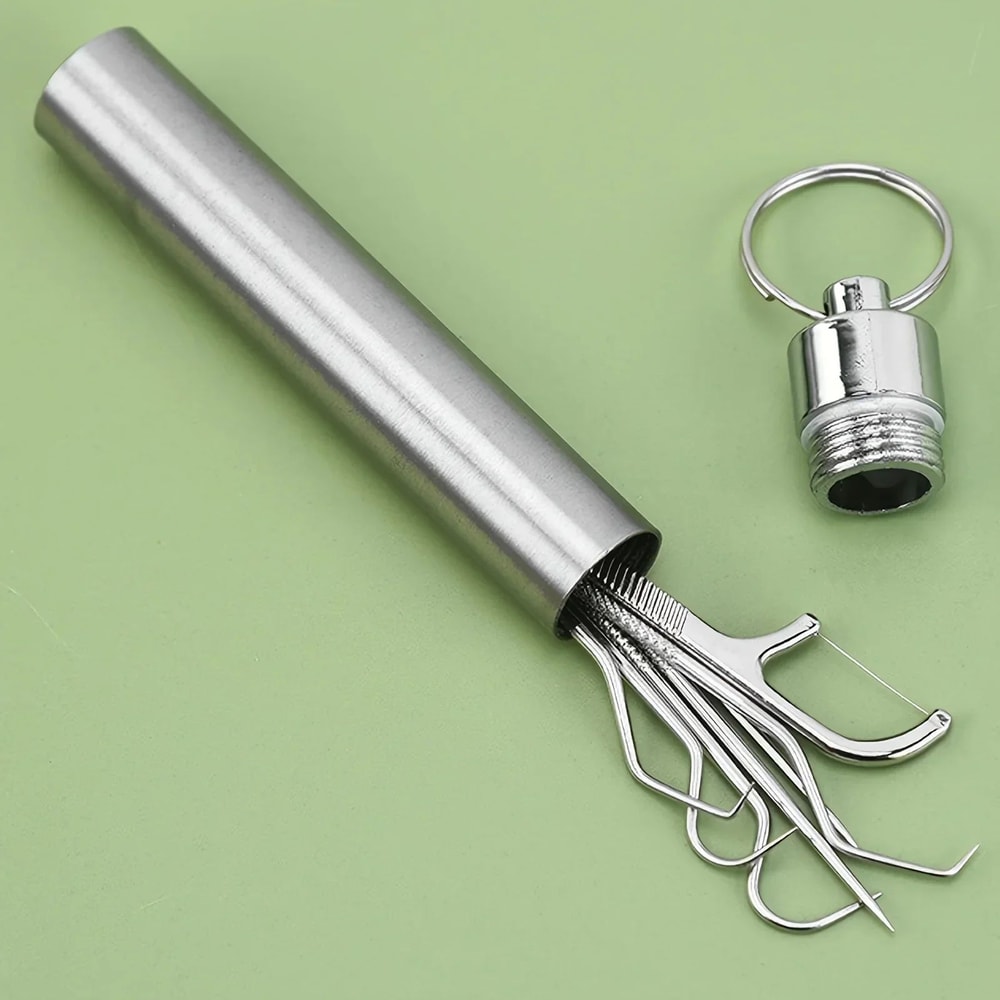 Stainless Steel Reusable Toothpick Set 1