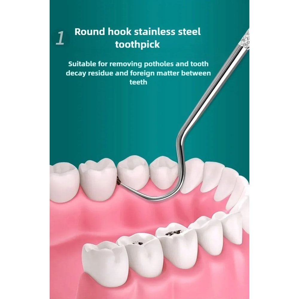 Stainless Steel Reusable Toothpick Set 6