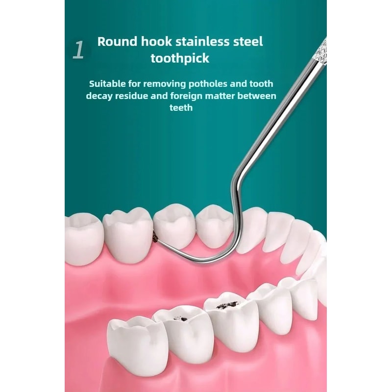 Stainless Steel Reusable Toothpick Set 6