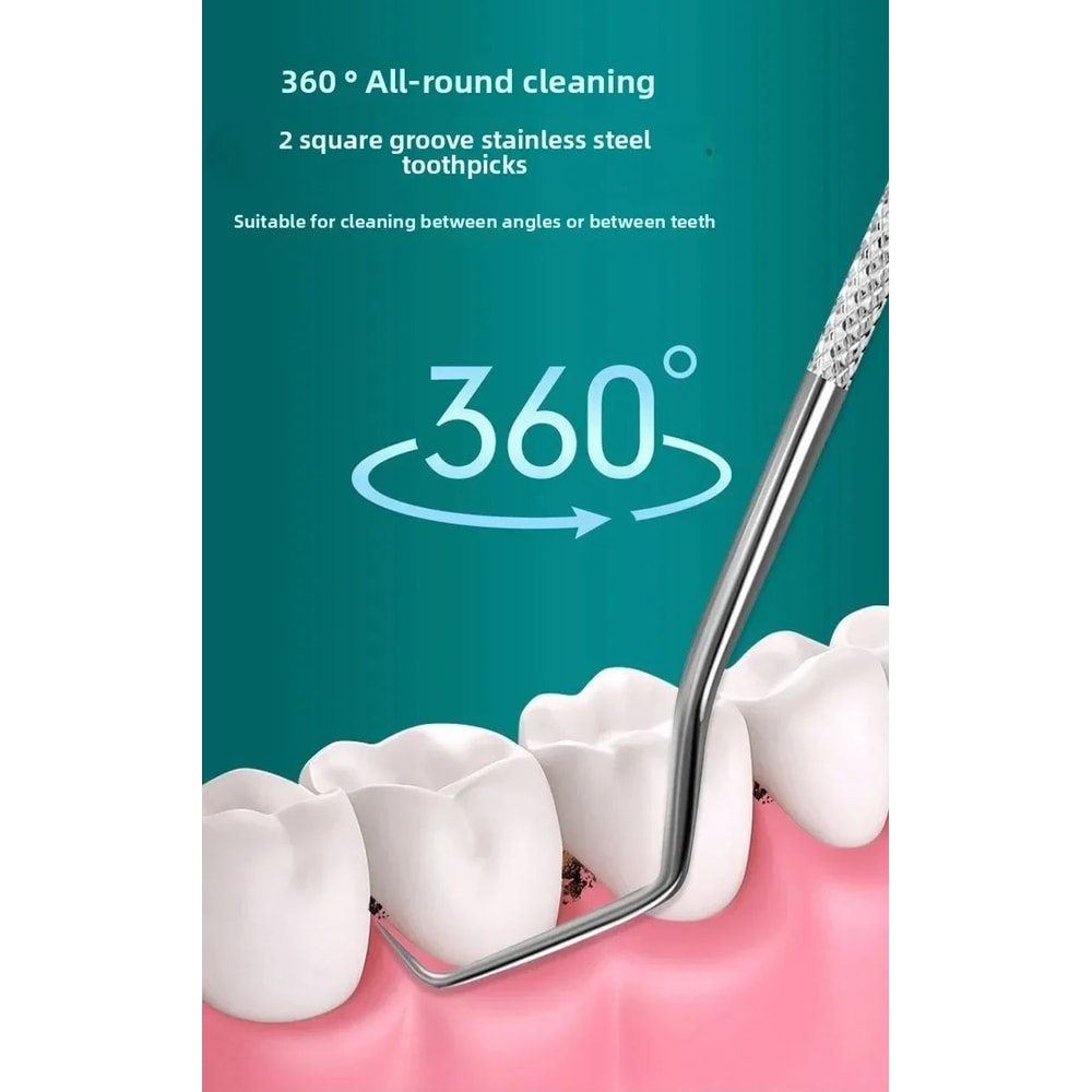 Stainless Steel Reusable Toothpick Set 7