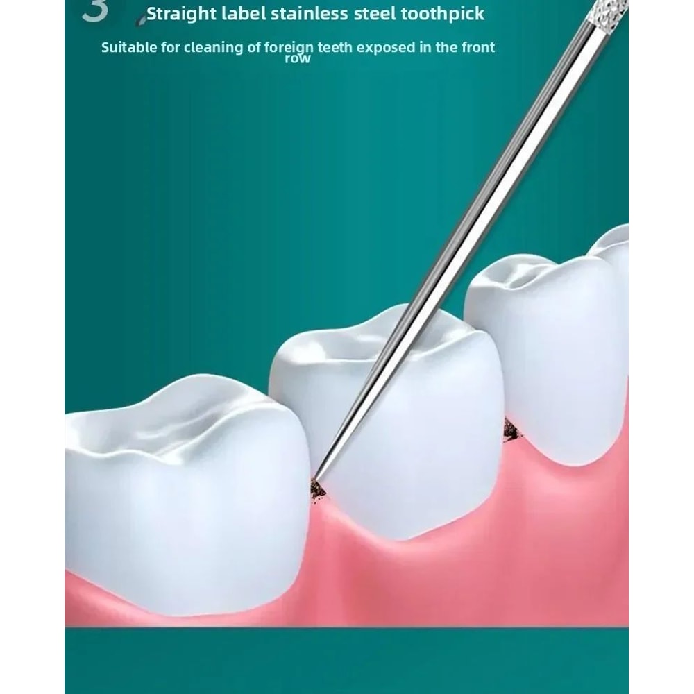 Stainless Steel Reusable Toothpick Set 8