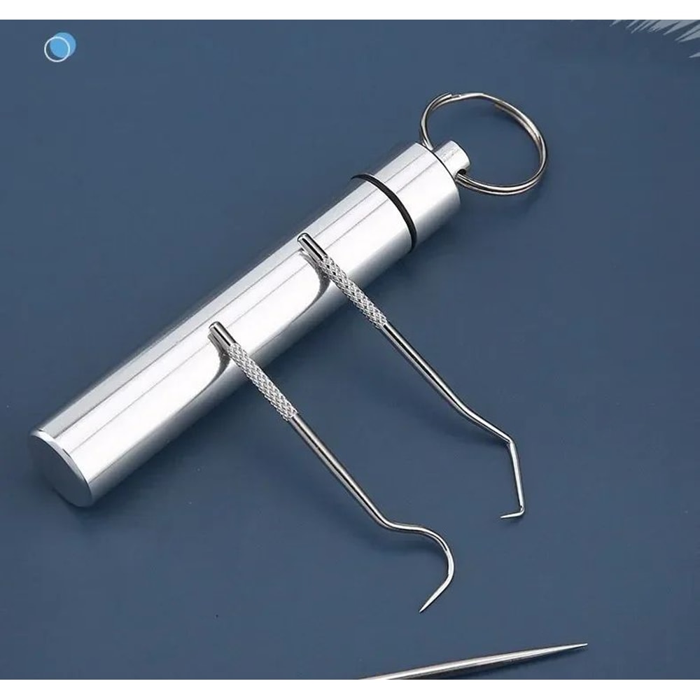 Stainless Steel Reusable Toothpick Set 9