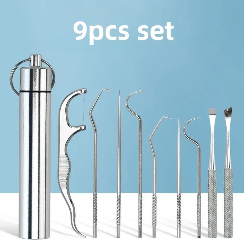 Stainless Steel Reusable Toothpick Set 10