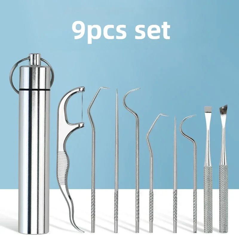 Stainless Steel Reusable Toothpick Set 10