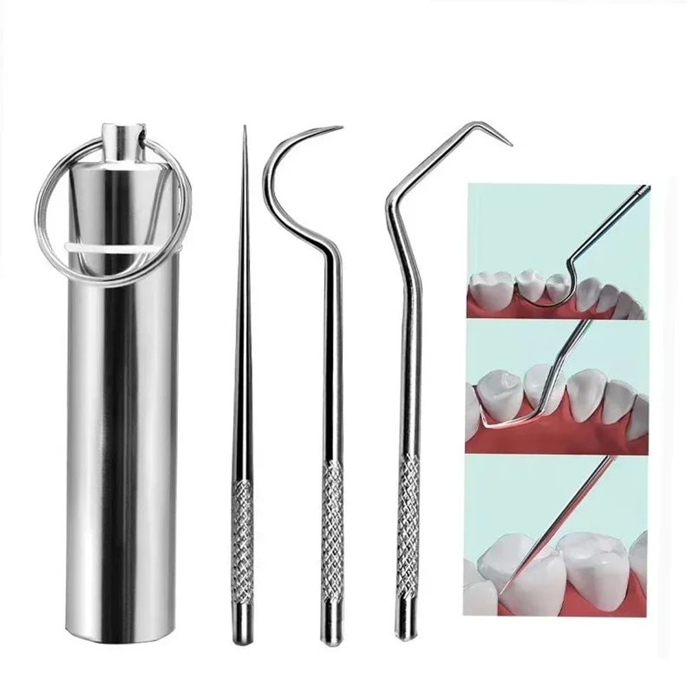 Stainless Steel Reusable Toothpick Set 11