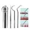 Stainless Steel Reusable Toothpick Set 11