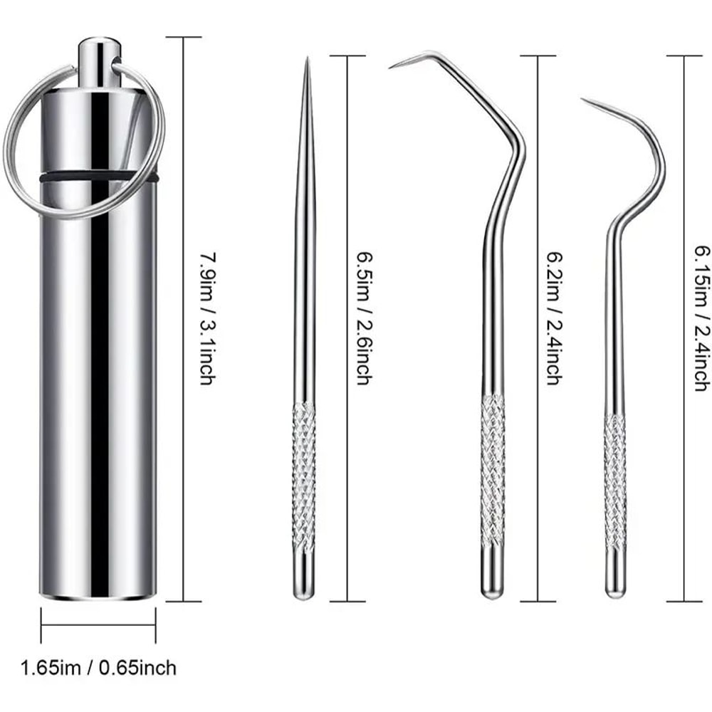 Stainless Steel Reusable Toothpick Set 12