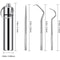 Stainless Steel Reusable Toothpick Set 12