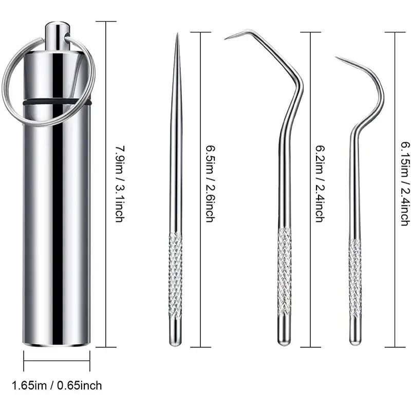 Stainless Steel Reusable Toothpick Set 12