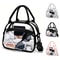 Transparent Lunch Bag With Shoulder Strap 0