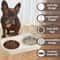 Stainless Steel Double Pet Feeding Bowl 3