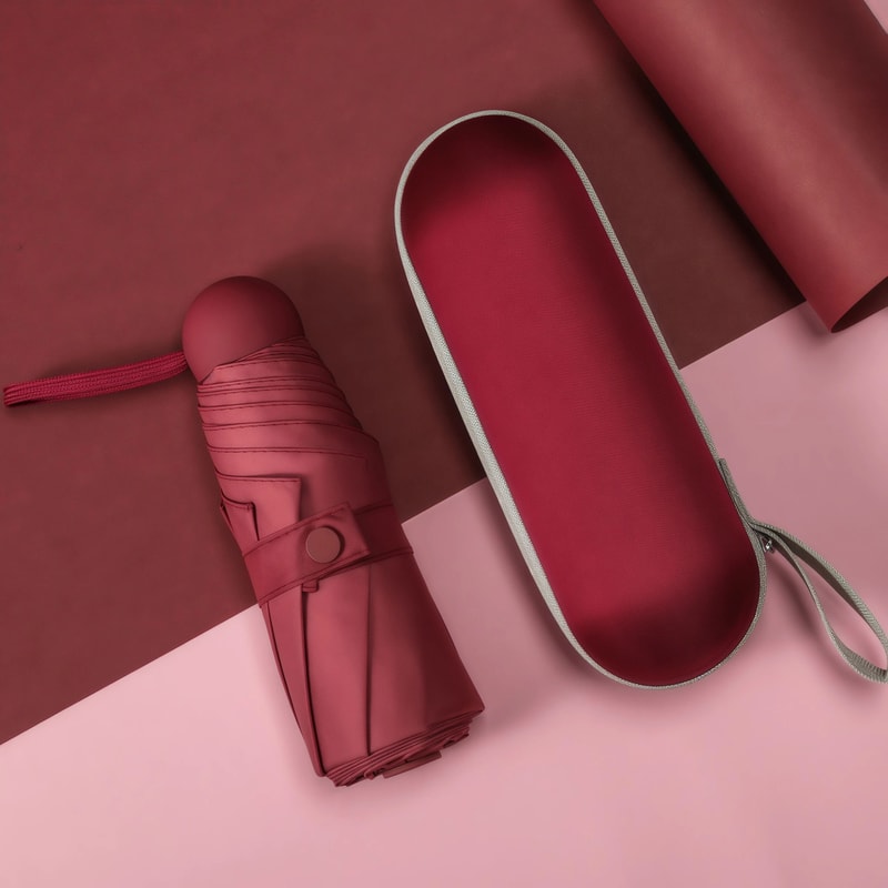 Lightweight All Season Travel Umbrella 14