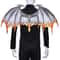 Dragon Wing Costume Party Accessory 1