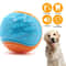 Squeaky TPR Dog Chew Ball 3