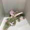 Jelly Matcha Cherry Dragon Plush Toy 4
