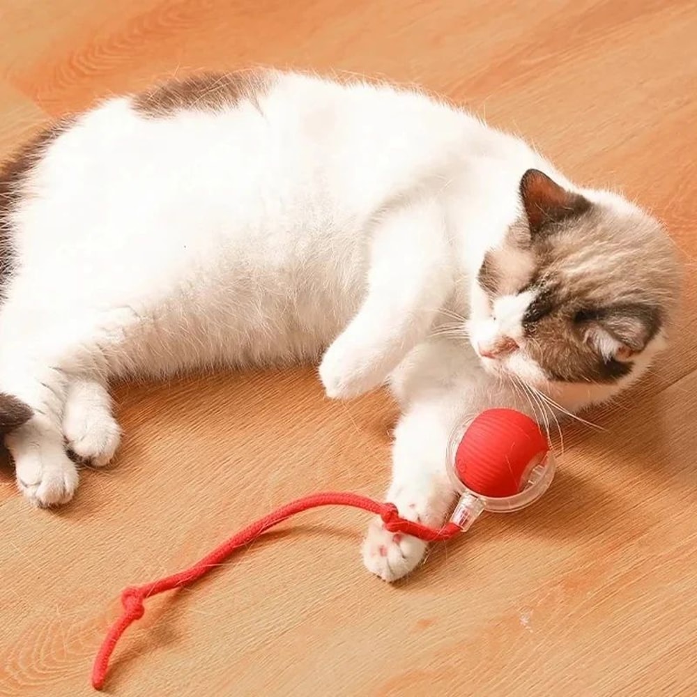 Rechargeable Smart Interactive Cat Ball Toy 8