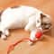 Rechargeable Smart Interactive Cat Ball Toy 8