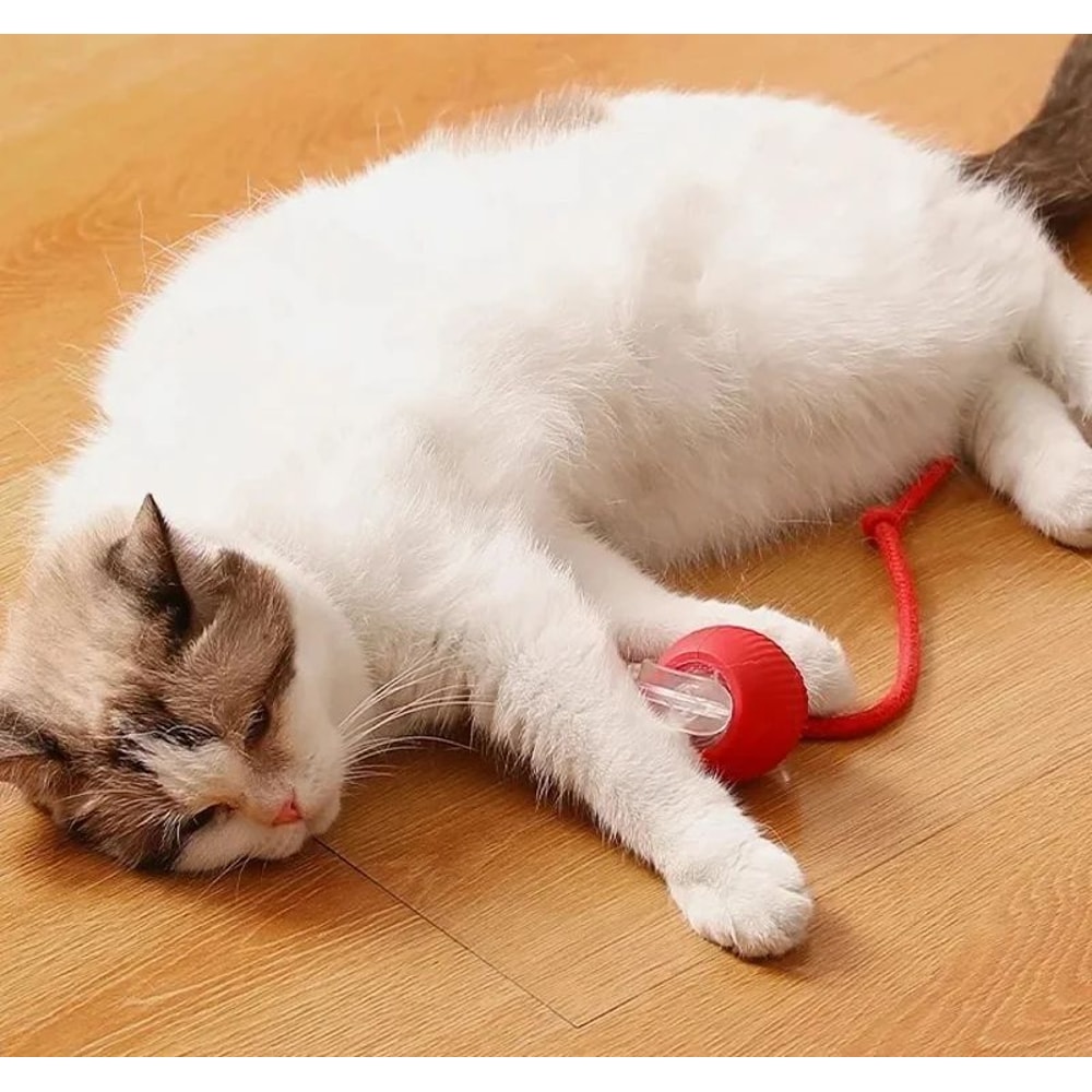Rechargeable Smart Interactive Cat Ball Toy 9