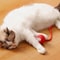 Rechargeable Smart Interactive Cat Ball Toy 9