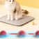 Rechargeable Smart Interactive Cat Ball Toy 11