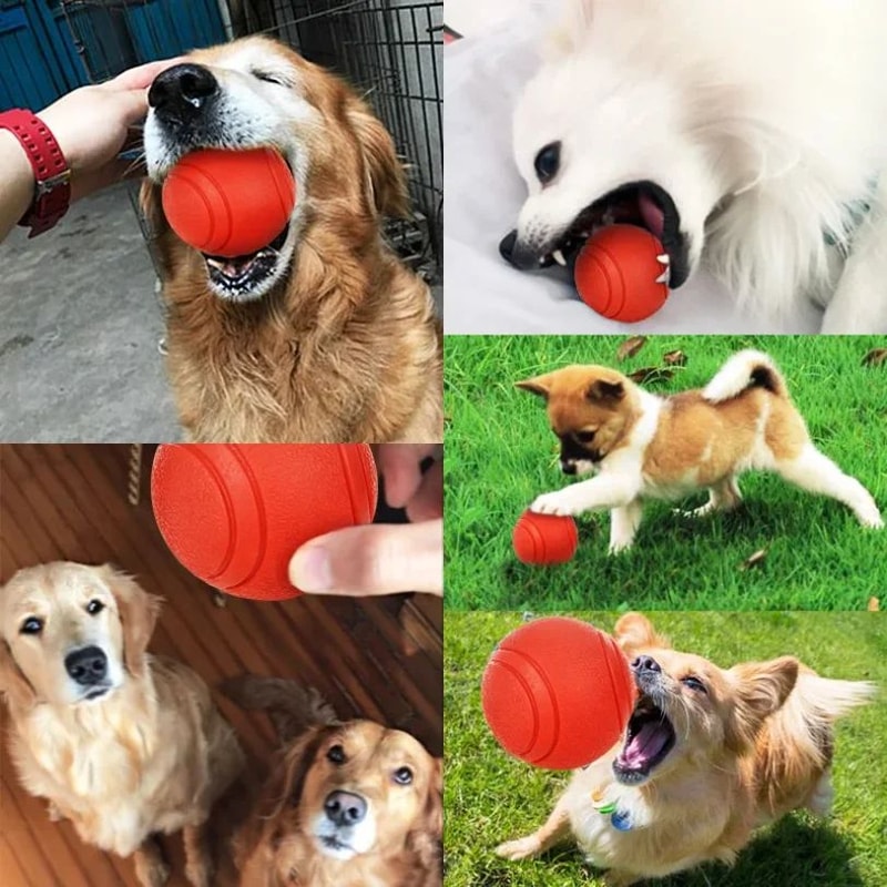 HOOPET Bite Resistant Rubber Dog Ball 3