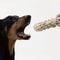 Durable Rope Chew Toy For Dogs 1