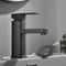 Black Chrome Single Handle Sink Faucet 0