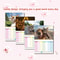 Cats And Friends 2026 Wall Calendar 0