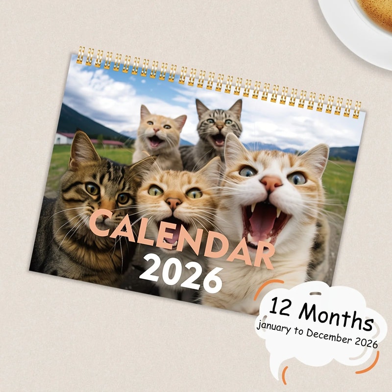 Cats And Friends 2026 Wall Calendar 1