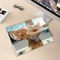 Cats And Friends 2026 Wall Calendar 4