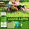 Hydro Mousse Lawn Repair Spray 1