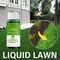 Hydro Mousse Lawn Repair Spray 3