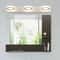 Modern LED Bathroom Mirror Wall Light 8