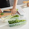 Refrigerator Scallion Storage Box With Lid 6