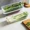 Refrigerator Scallion Storage Box With Lid 7