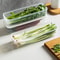 Refrigerator Scallion Storage Box With Lid 7
