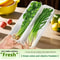 Refrigerator Scallion Storage Box With Lid 9