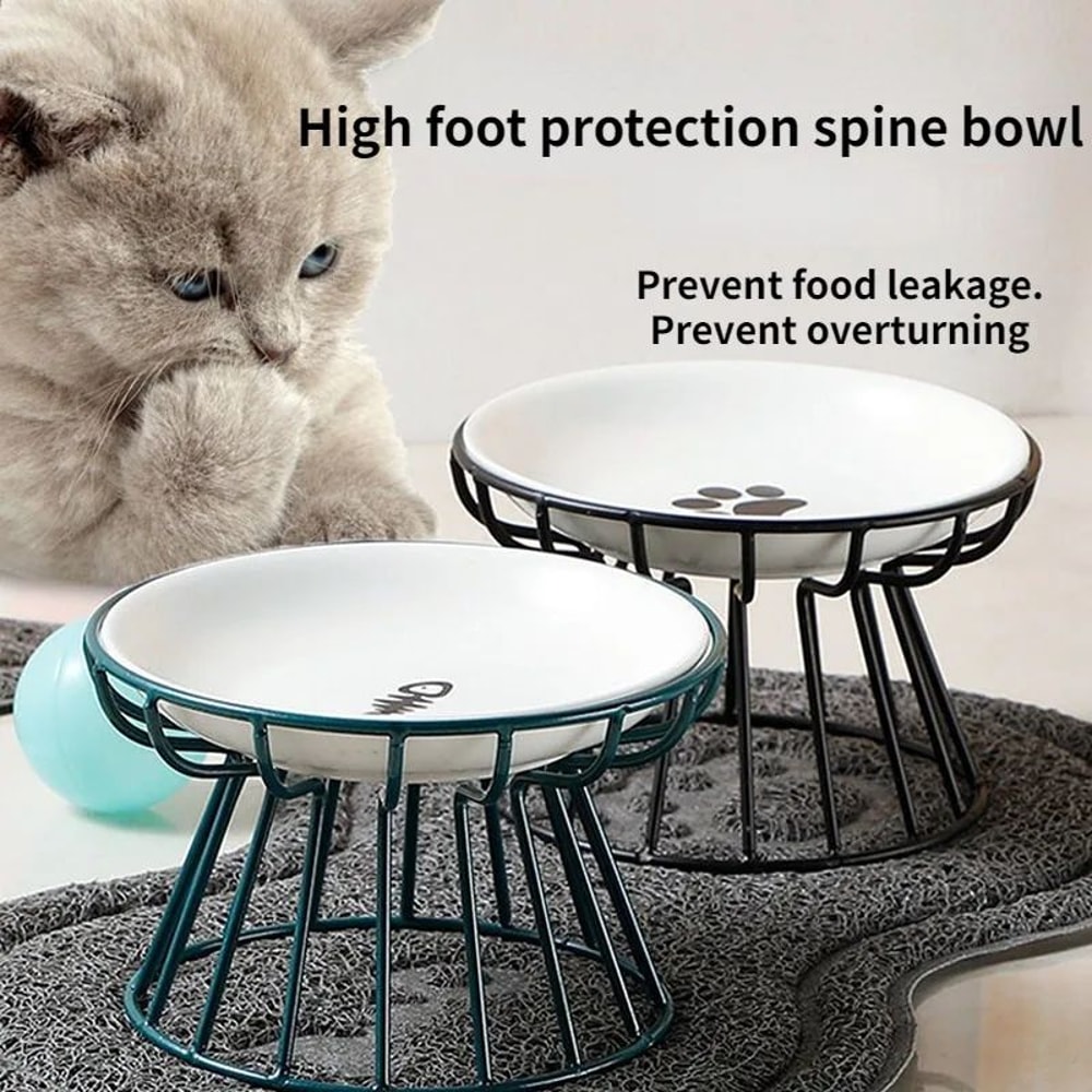 Elevated Ceramic Pet Food Bowl With Stand 0