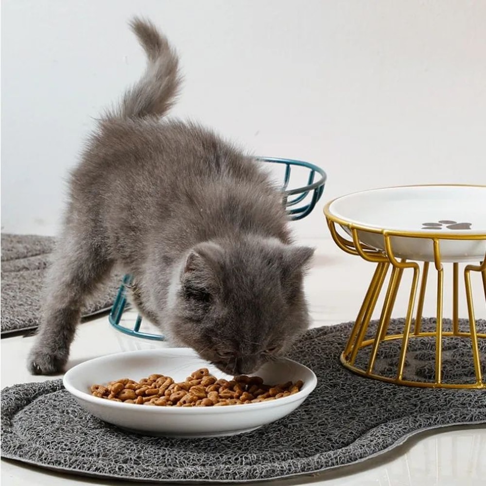 Elevated Ceramic Pet Food Bowl With Stand 4