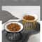 Elevated Ceramic Pet Food Bowl With Stand 7