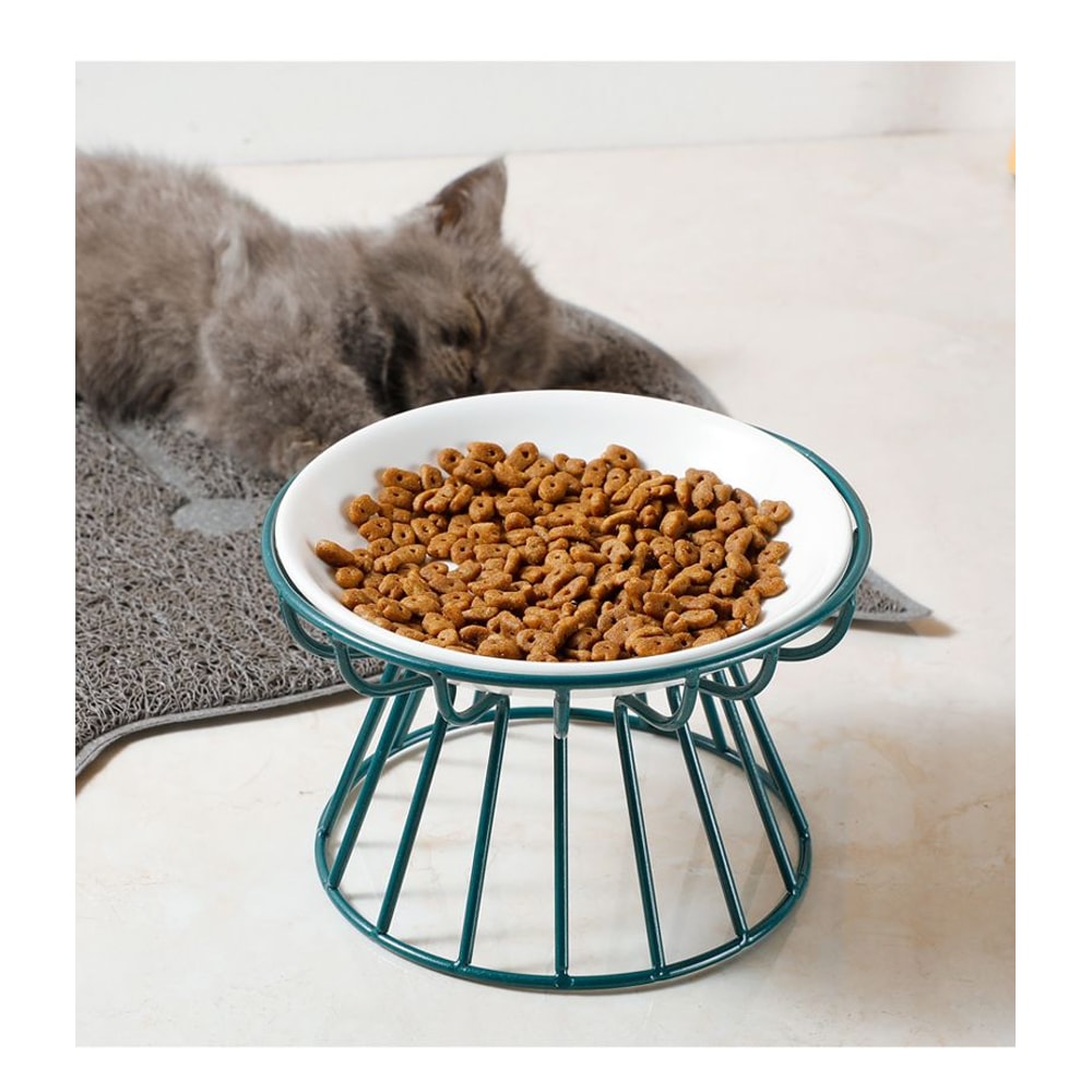 Elevated Ceramic Pet Food Bowl With Stand 11