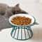 Elevated Ceramic Pet Food Bowl With Stand 11